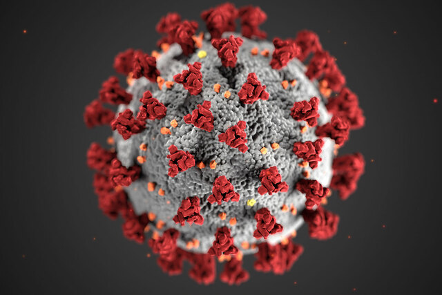 Coronavirus Spreads