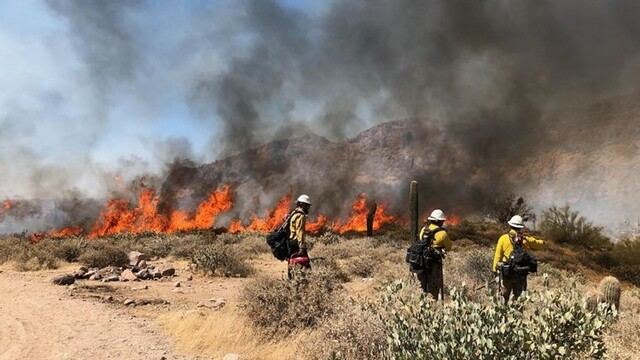 Growing Fire in Arizona
