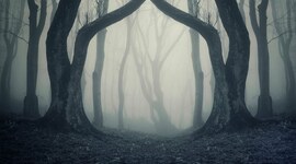 Timeline: Horror Movies Timeline