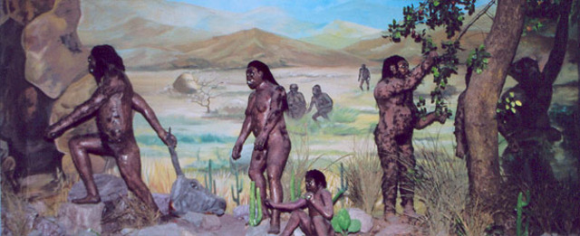 Australopithecines