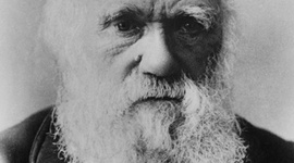 Timeline: Bibliografia