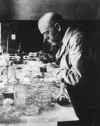 Un microorganismo para cada enfermedad