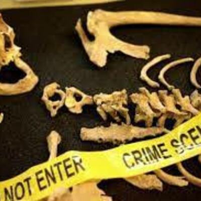Timeline: Línea del tiempo de la Antropología Forense en México