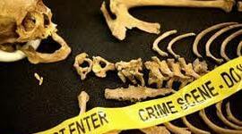 Timeline: Línea del tiempo de la Antropología Forense en México