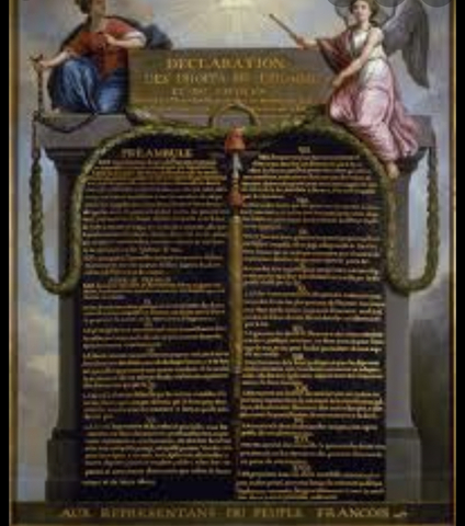 Declaracion de Derechos del Hombre y el Ciudadano