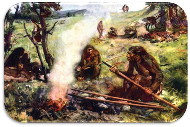 Principio de la biomasa