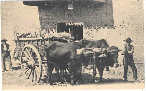 Cabaña Real de Carreteros