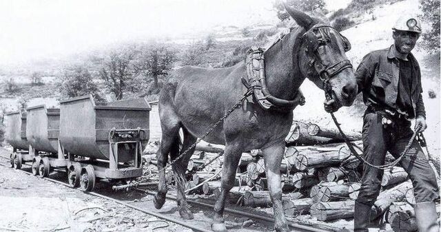 Primeros arrieros en Cataluña