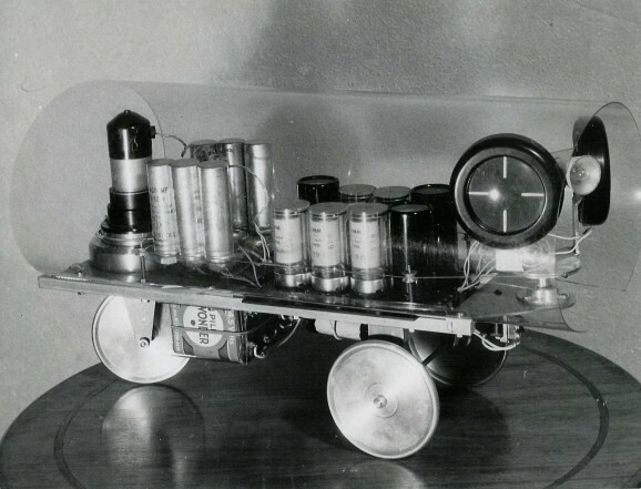 Tortue cybernétique