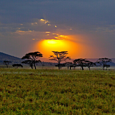 Timeline: Исследователи Африки