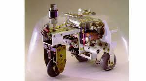 tortue cibernétique