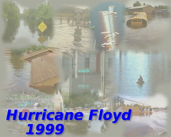 I survived the storm of the century