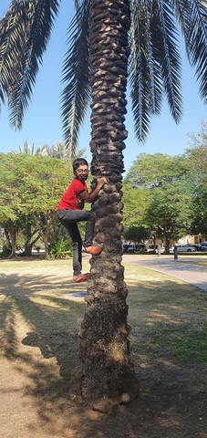 Climbiong palm tree for first time