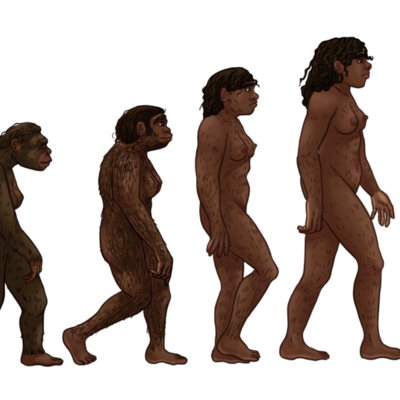 Timeline: La evolución de los homínidos