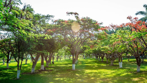 Creación de el jardín de Oaxtepec.