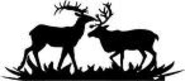 I shot two deer with one shot