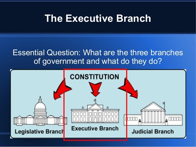 Executive branch