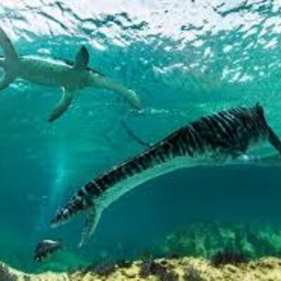 Timeline: "The monster of lake Ness"