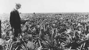 James and Sanford Dole