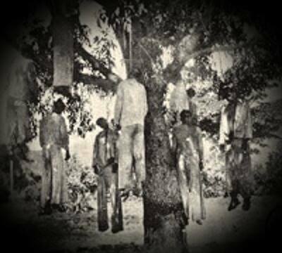 The hunt for the "tree of the hanged ones"