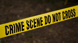 Timeline: Criminalistica