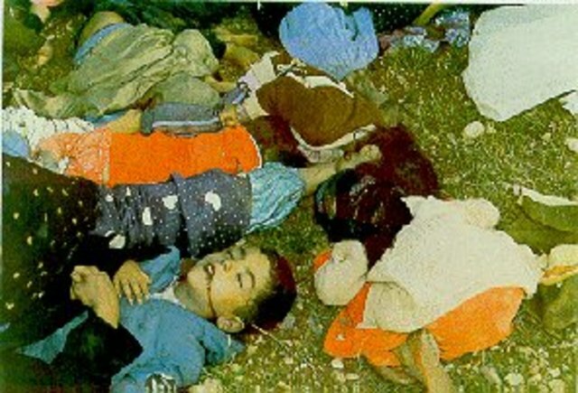 Stage Four of The Anfal Genocide