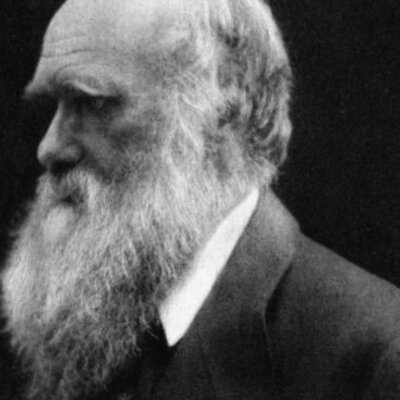 Timeline: Darwin