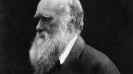 Timeline: Darwin