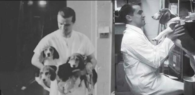 El nacimiento de la NP