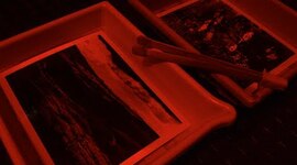 Timeline: Fotografía tradicional (análoga)