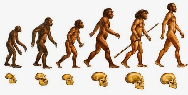 Aparició dels primers homínids