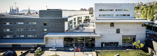 El dia que vaig neixer