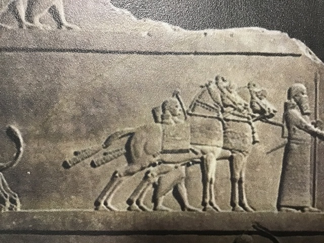 Caccia di Assurbanipal VII secolo a.C