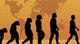Timeline: La evolución de los homínidos