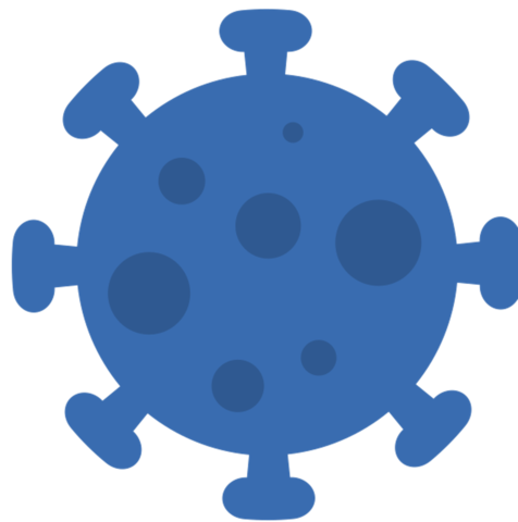 First virus discovered