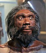 Homo heidelbergensis