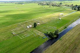 Desecamiento pantanos de Flandes