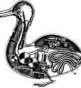 Le canard de Vaucanson