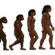 Evolucion