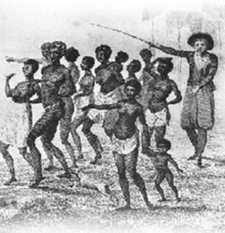 Africans come to America