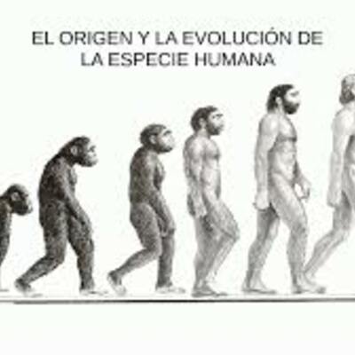 Timeline: La evolución de la especie humana
