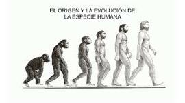 Timeline: La evolución de la especie humana