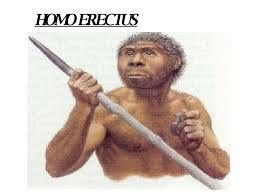 Homo Erectus