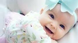 Timeline: La maravillosa vida de Paula