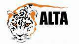 ALTA
