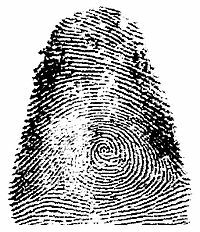 Japón primeras impresiones de la cresta de fricción en la piel