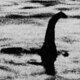 Nessie