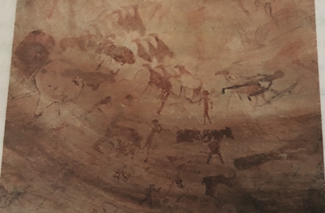 Scene di caccia e animali della savana