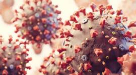 Timeline: HISTORIA DE LA MICROBIOLOGÍA - UMG MICROBIOLOGÍA I - SECCIÓN B - AÑO 2021 -  SERGIO MANUEL MONTÚFAR  (200-18-5099)