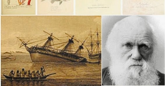 La sociedad de su tiempo.